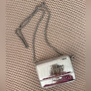 Beautiful sexy Purse in silver color